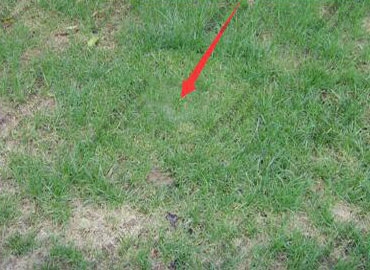 杭州不銹鋼草盆井蓋,不銹鋼井蓋生產(chǎn)特點(diǎn)有哪些？